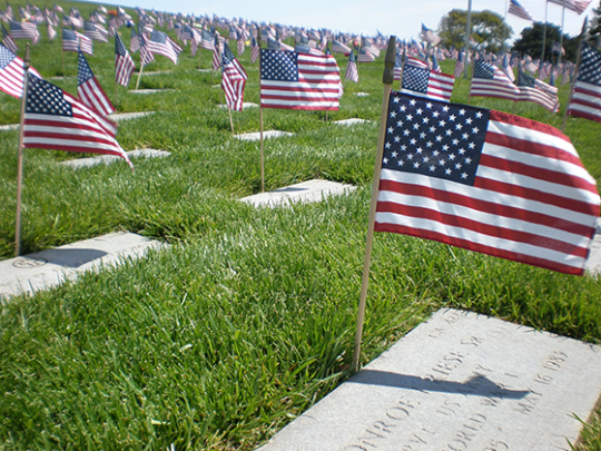 The Story Behind the National Mall's 