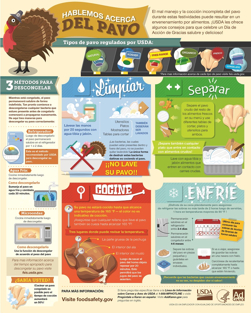 Thanksgiving food safety